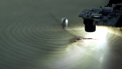 « Years », un tourne-disque transforme les cernes d'un tronc d'arbre en musique