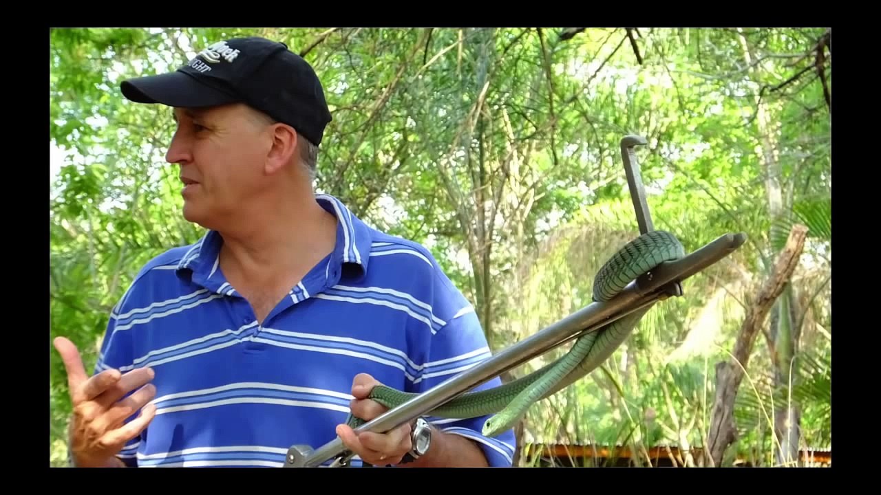 Sax Büffeljagd 2014 in Südafrika mit Sax BCS Munition