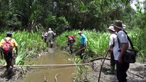 Amazonien 2013 - der Trailer, unterwegs in Peru, Bolivien und Brasilien