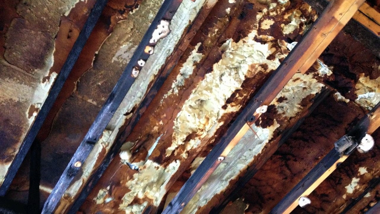 Fire Damage Restoration