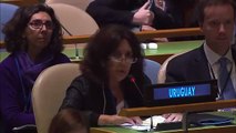 Intervenciones de Mariella Mazzotti en la Asamblea General de Naciones Unidas
