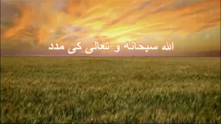 Allah (s.w.t) Ki Madad | Maulana Tariq Jameel