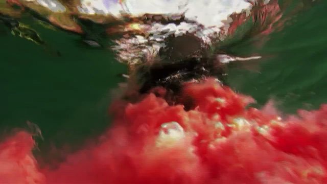 Eaten Alive - Shark Sneak Attack