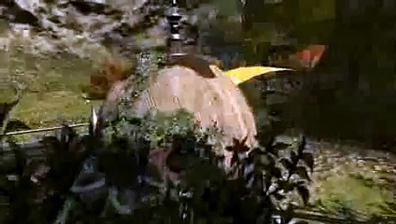Gridania Jumping