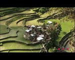 Rizières en terrasses des cordillères des Philippines (UNESCO/NHK)