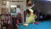 Seven trick shots with Mary Avina on Billiard Snooker Pool Table - 13