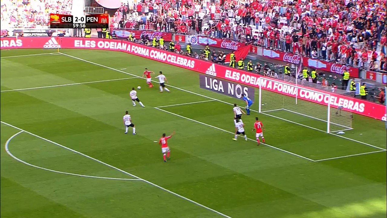 Vier Beine für ein Halleluja! Zwei gegen alle