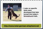 German Shepherd History - German Shepherd Dog history