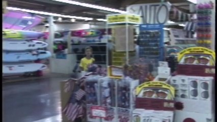 Ivan the gorilla lived alone in a shopping mall for over 20 years (The Urban Gorilla)