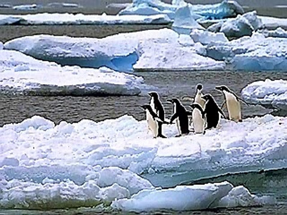 United States Trust Territory of Marie Byrd Land and Ellsworth Land Antarctica