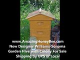 Beekeeping How to Queen a Bee Hive with Queen Cells
