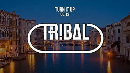 Clinton Sly ft. Dub Terminator - Turn It Up (Ruxell Remix)