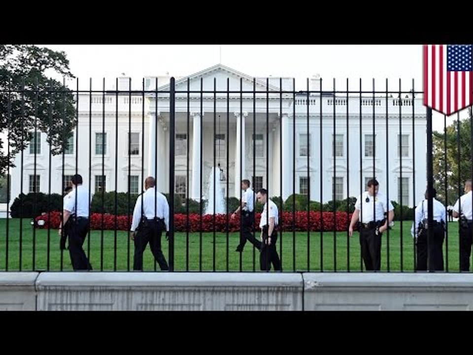White House security breach: man climbs fences, makes it past the front door