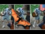Rabid bat bites camper as he strums guitar in Oregon woods