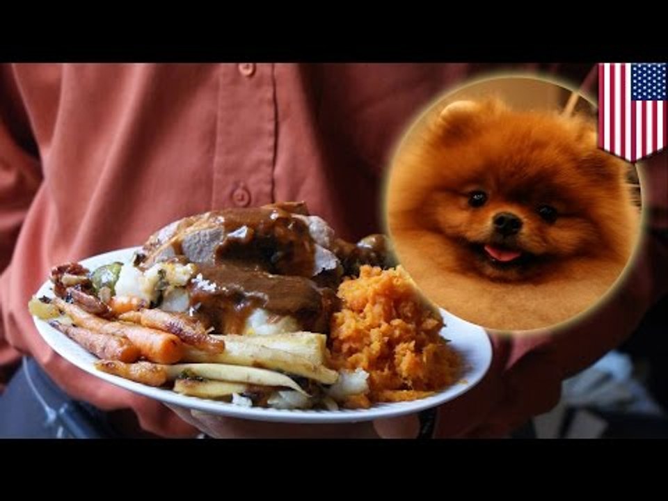 Crazy ex-boyfriend: California woman’s ex cooked her pomeranian and served it to her for dinner