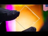 Transparent solar panel developed by MSU absorbs invisible ultraviolet rays