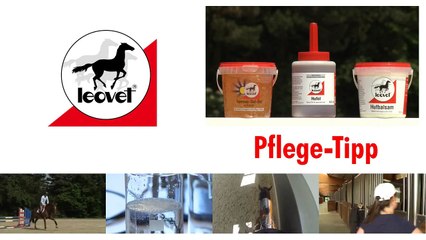 leovet Pflege-Tipp: Christian Ahlmann zu Hufe.