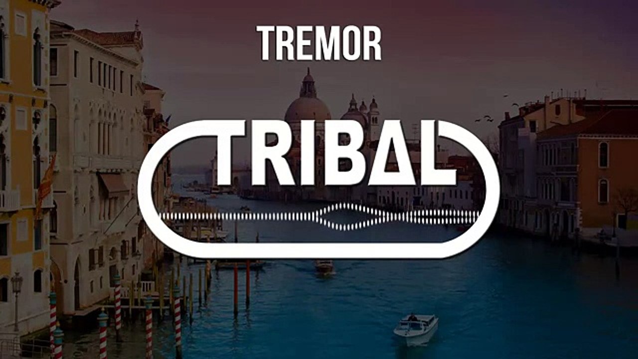 Dimitri Vegas, Like Mike, Martin Garrix - Tremor (Twerkillaz Twerk Remix)