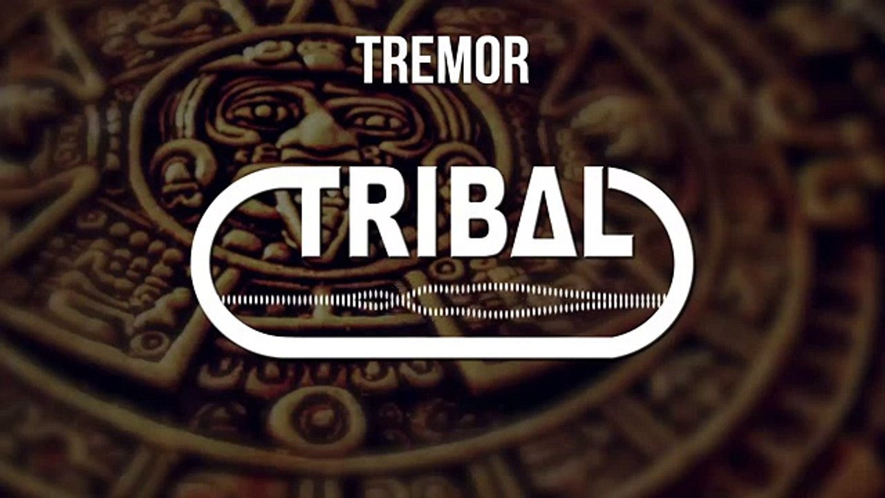 Dimitri Vegas, Martin Garrix, Like Mike - Tremor (Debroka Remix)
