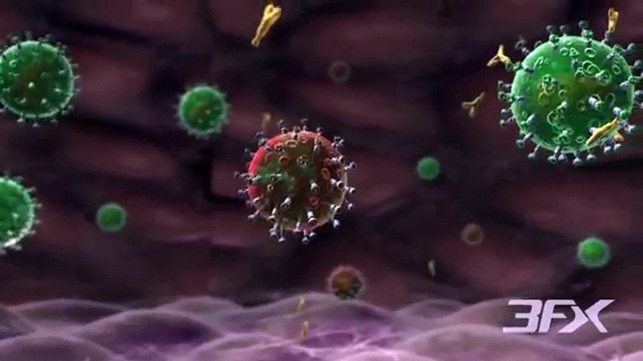 HIV Animation