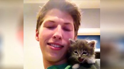 Funny Cats Compilation 2015! [PART1] [½h HD -1080p-]