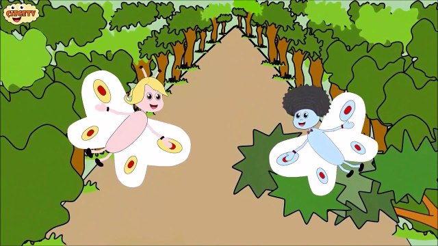 ÇOCUK ŞARKILARI Beyaz Kelebekler Rondu Çizge TV Çizgi Film İzle