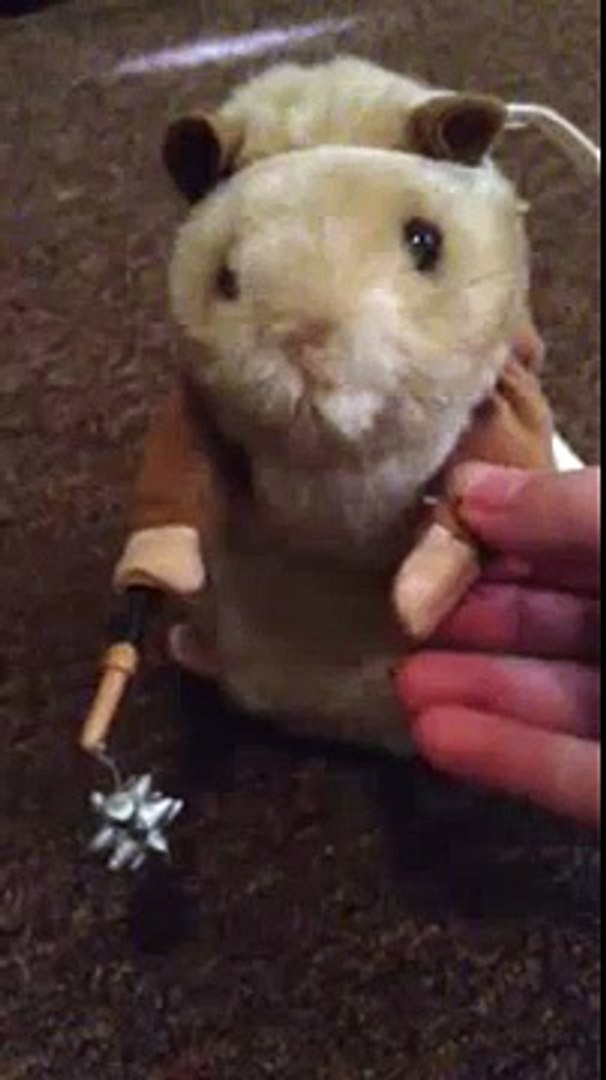 kung fu hamster