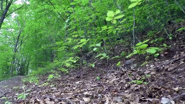 Montagne de Lure, Alpes de Haute Provence