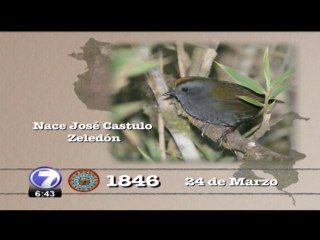 tn7-hoy-240315
