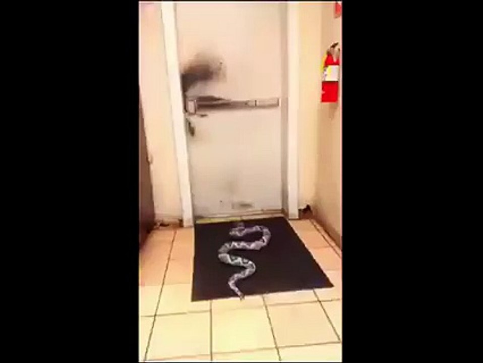 Bonne blague au travaille