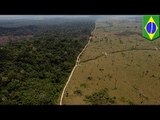Amazon deforestation: Brazil police arrests 8 in biggest gang