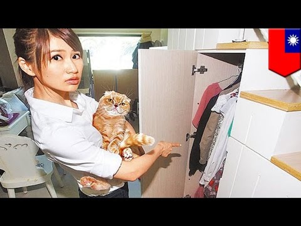 Pet saves owner: Smart cat warns owner her ex-boyfriend is hiding in the closet!