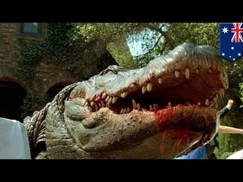 Crocodile attacks fisherman, eating him alive while his wife watches in Australia