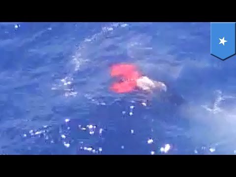 Men shot at sea: video shows 'Somali pirates' shot by fisherman after failed hijacking