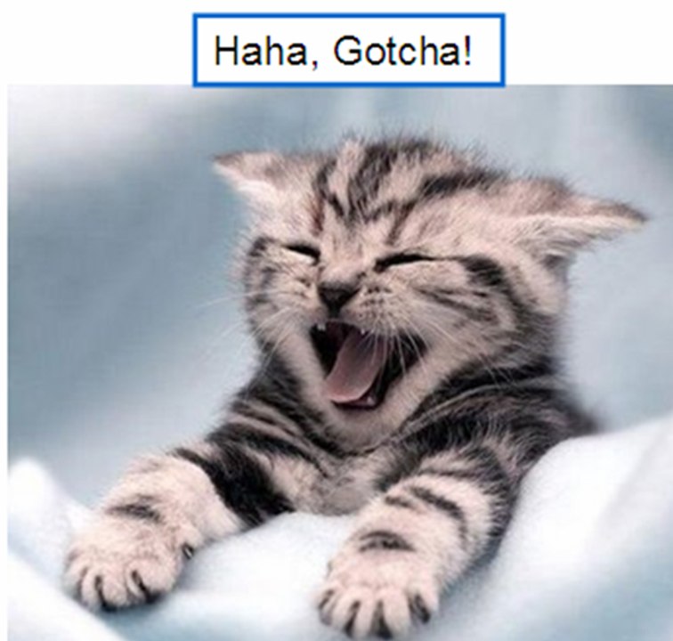 Pranking people - 2015