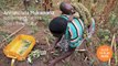 Oxfam's work empowering women pineapple entrepreneurs in Rwanda