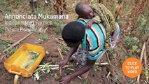 Oxfam's work empowering women pineapple entrepreneurs in Rwanda