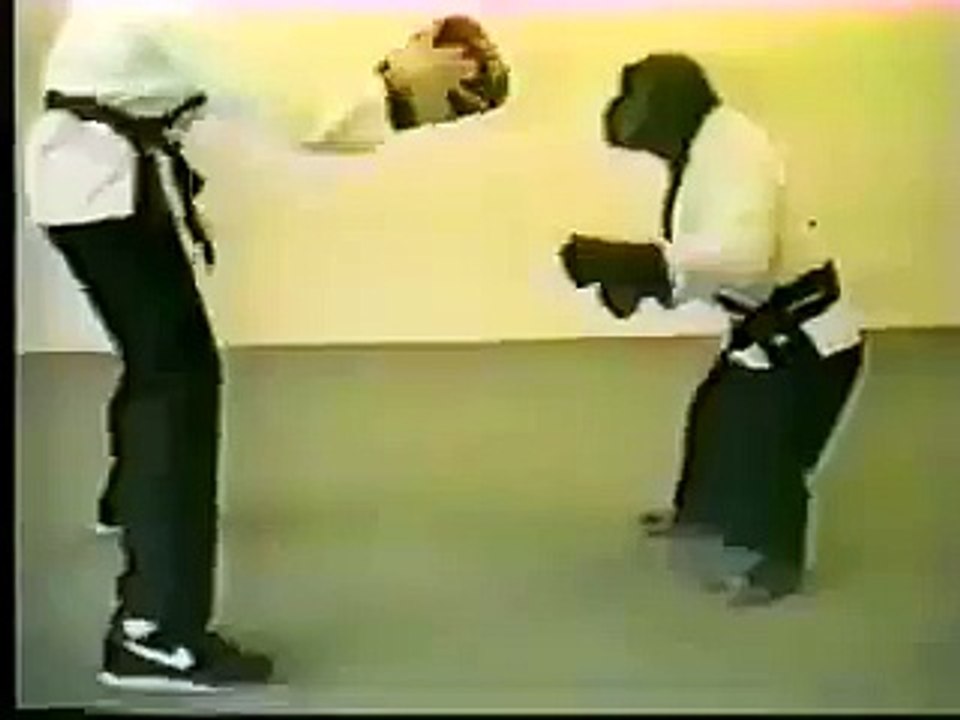 Kunfu monkey