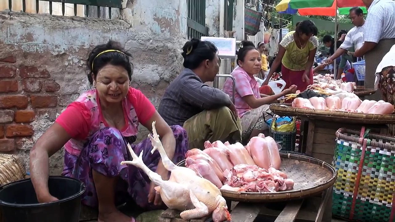 Trip to Myanmar. Bagan the city of over 2200 Buddhist temples and pagodas