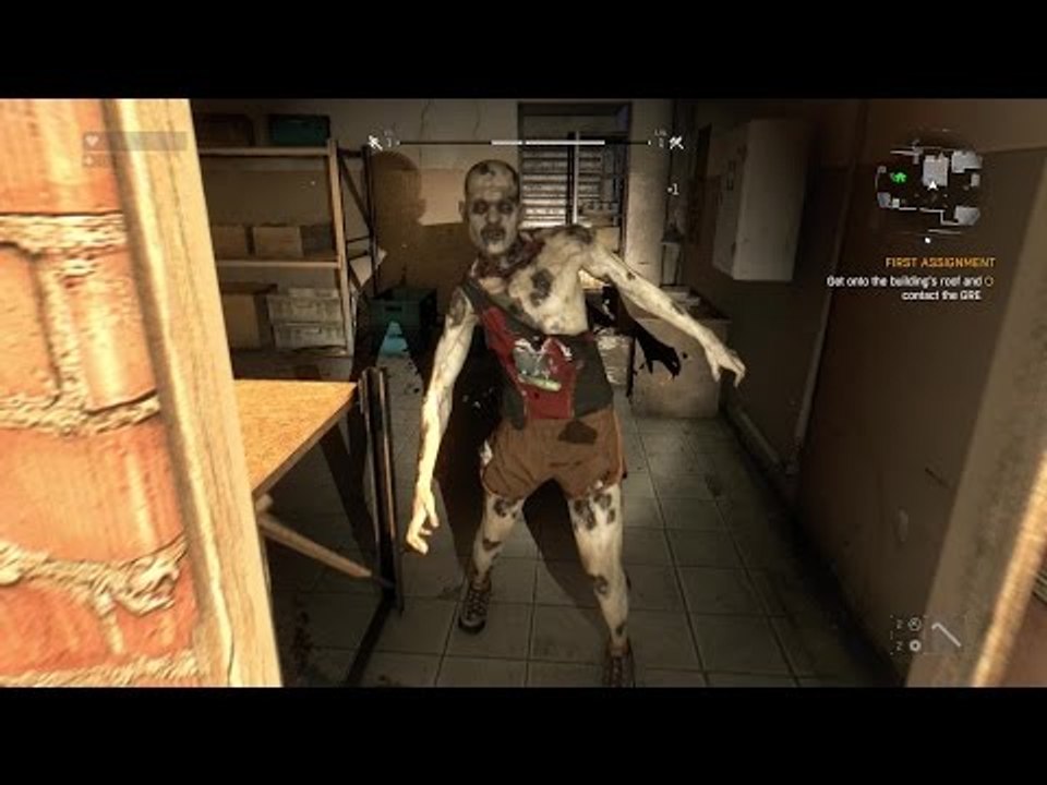Dying Light (PC MAX)(60FPS) - Gameplay Walkthrough Part 2: Errand Boy [1080p HD]