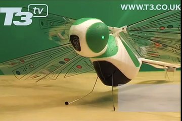 Dragonfly robot filmed
