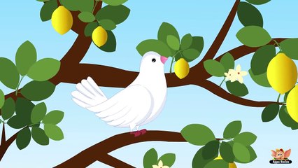 La paloma blanca - Spanish Nursery Rhyme