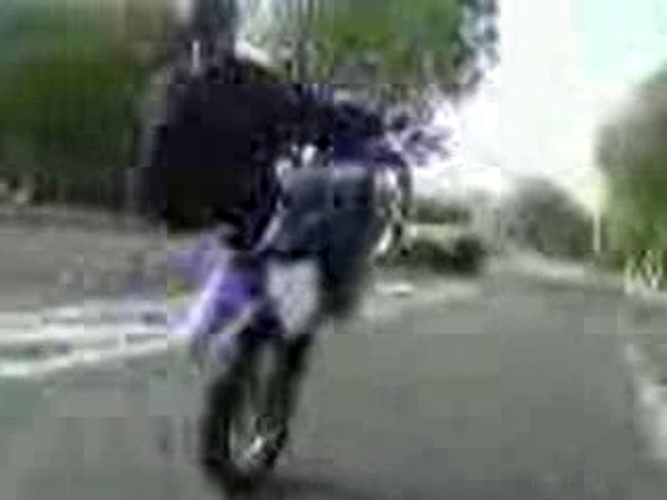 Ali le chot