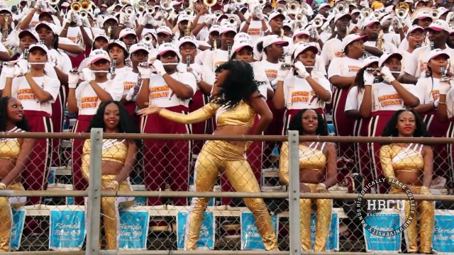 Bethune Cookman - Mr. Ice Cream man - 2013 - HBCU Marching Bands