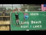 LA freeway jumper: Man on 5 Freeway holds up traffic for hour hours