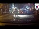Fake car accident: Hit by car prank backfires on scam artist, caught on dash cam