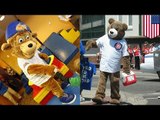 Chicago Cubs sue man behind fake mascot who punched a fan in a bar