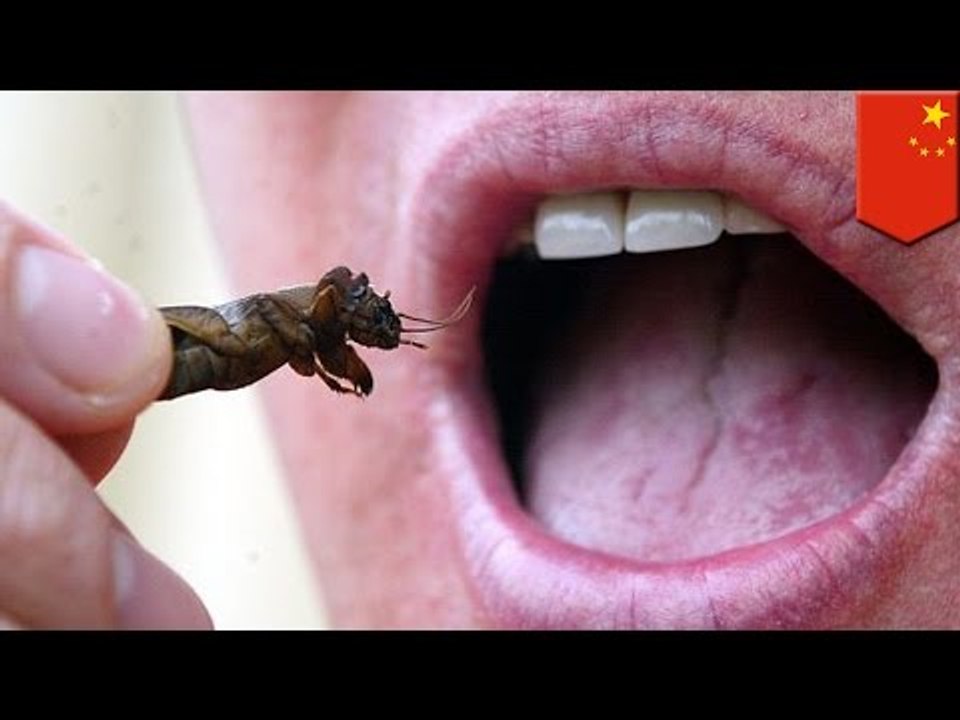 Survival skills: climber forced to eat worms for thirteen days after surviving mountain accident