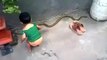 bachy k kam check kro playing with snake