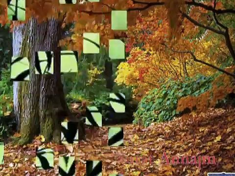 quran ;ماهر المعيقلي ;سورة النجم